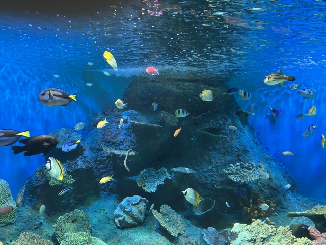 しながわ水族館