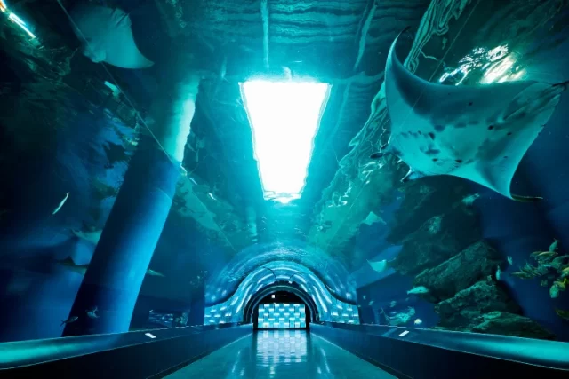 マクセル アクアパーク品川