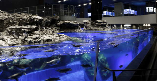 すみだ水族館