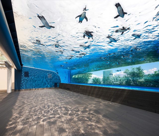 サンシャイン水族館