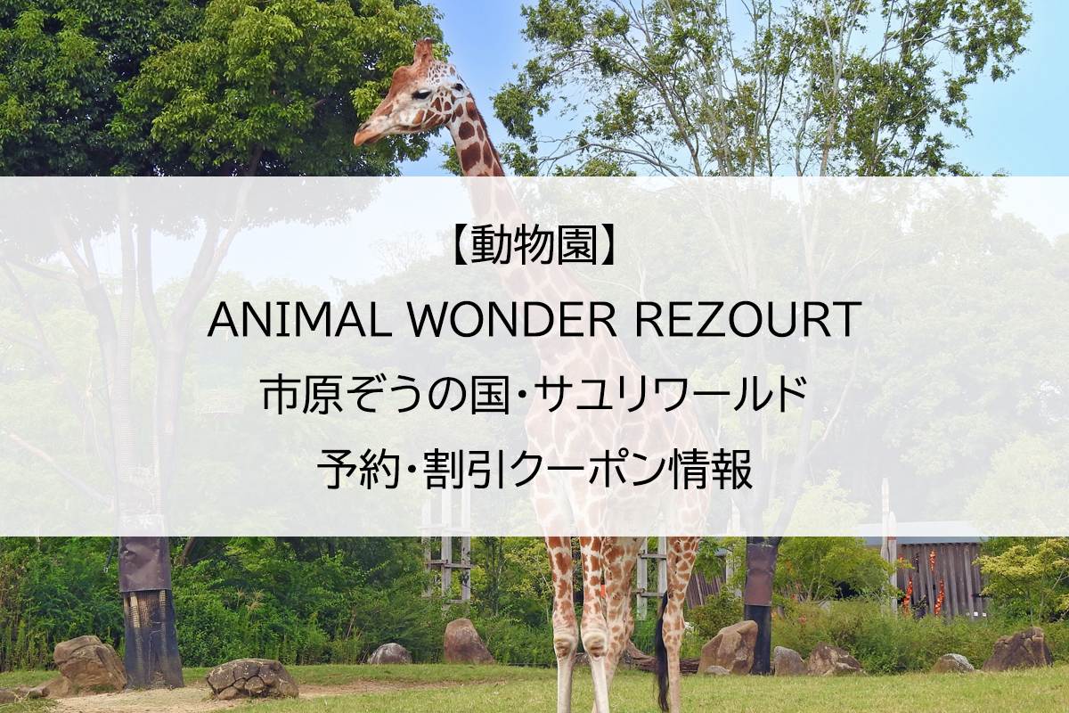 【動物園】ANIMAL WONDER REZOURT 市原ぞうの国・サユリワールド｜予約・割引クーポン情報