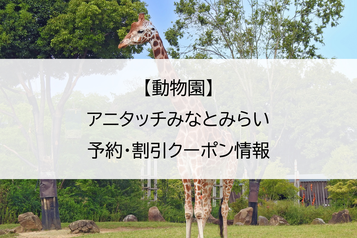 【動物園】アニタッチみなとみらい｜予約・割引クーポン情報