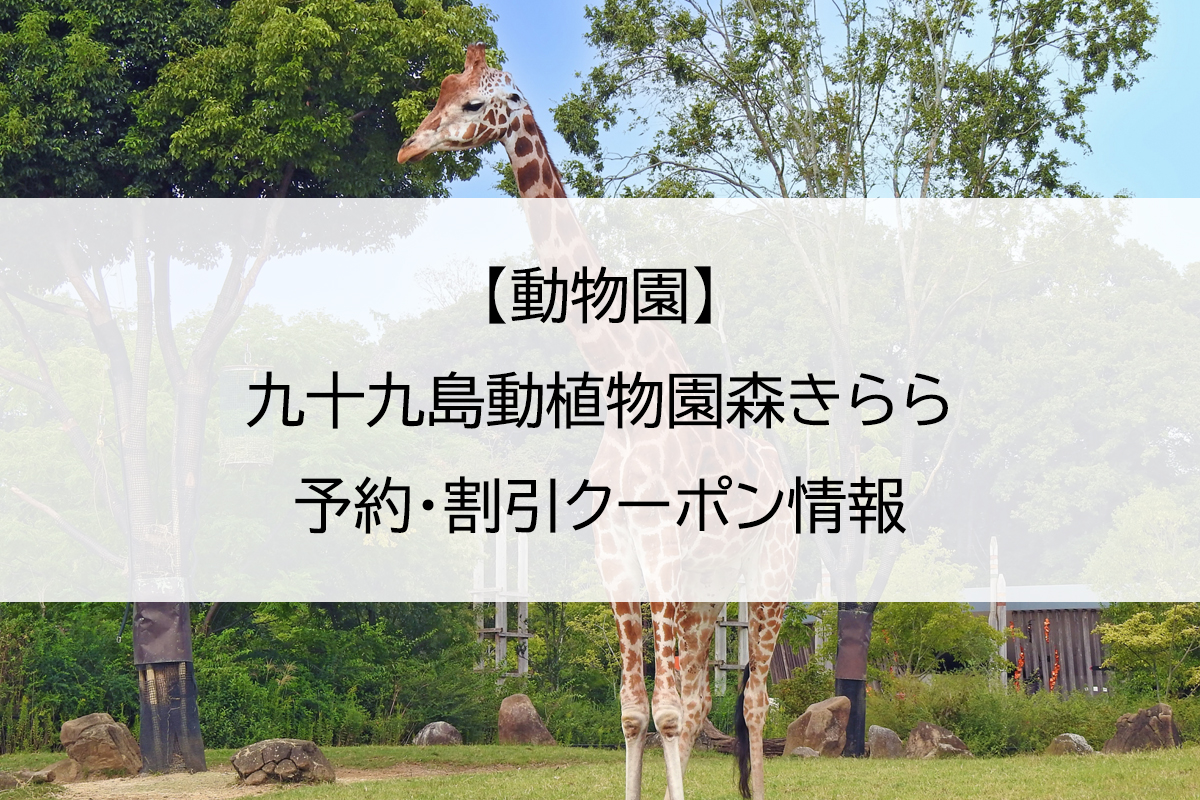 【動物園】九十九島動植物園森きらら｜予約・割引クーポン情報