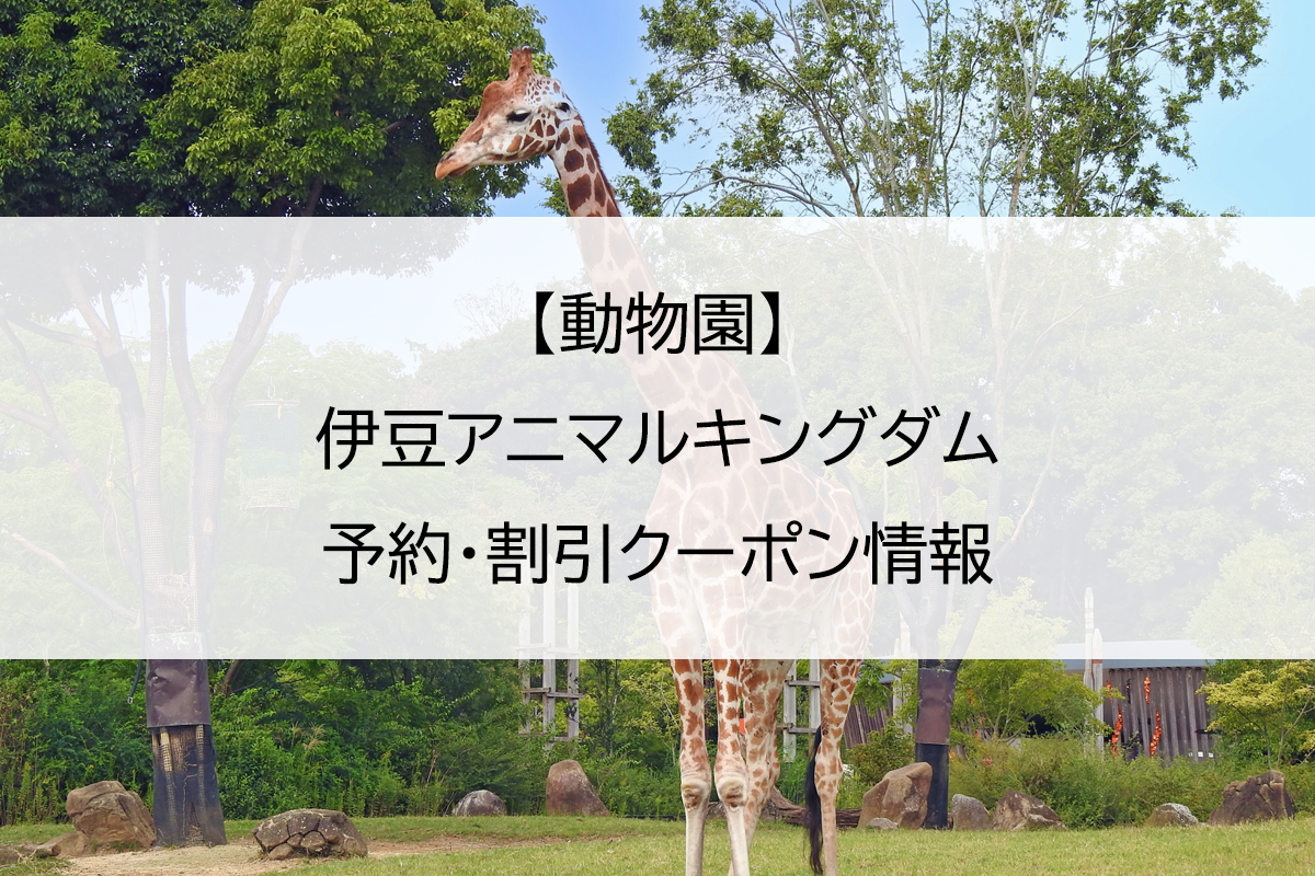 【動物園】伊豆アニマルキングダム｜予約・割引クーポン情報