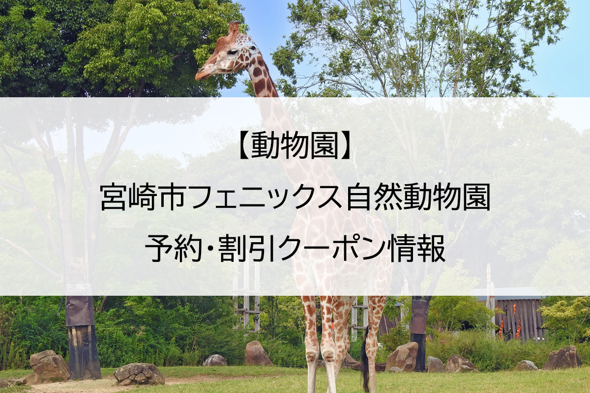 【動物園】宮崎市フェニックス自然動物園｜予約・割引クーポン情報