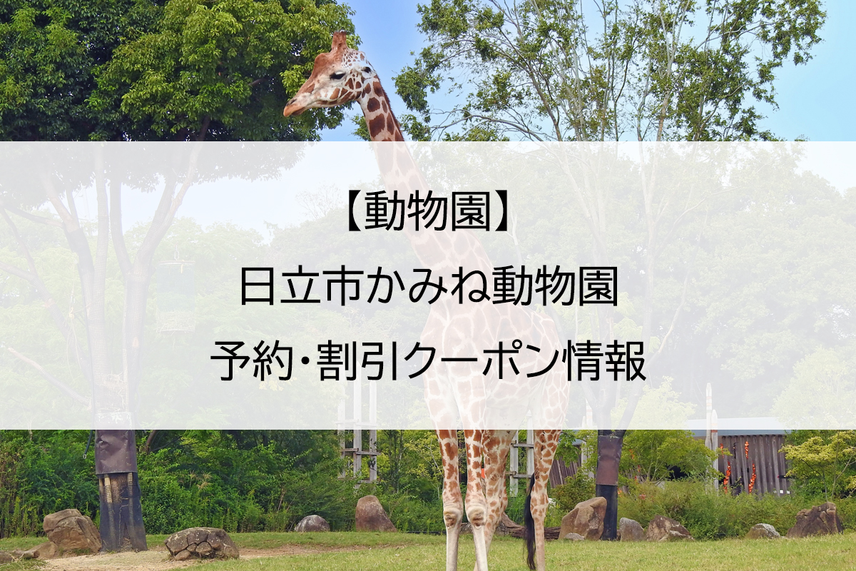 【動物園】日立市かみね動物園｜予約・割引クーポン情報
