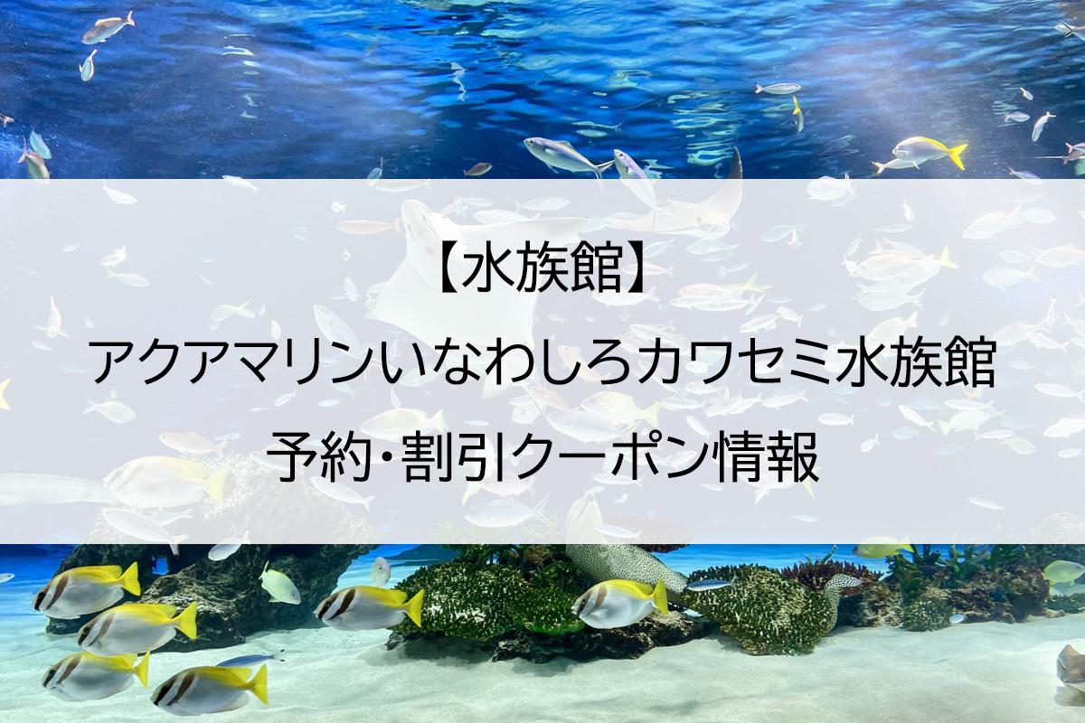 【水族館】アクアマリンいなわしろカワセミ水族館｜予約・割引クーポン情報