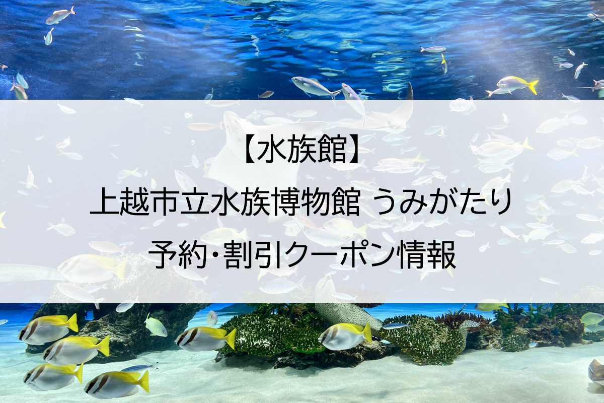 【水族館】上越市立水族博物館 うみがたり｜予約・割引クーポン情報