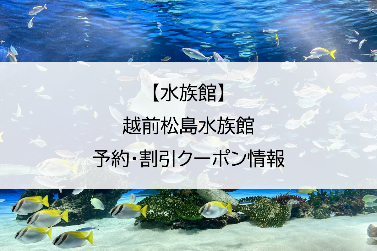 【水族館】越前松島水族館｜予約・割引クーポン情報