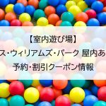 【室内遊び場】プリンス・ウィリアムズ・パーク 屋内あそび場｜予約・割引クーポン情報